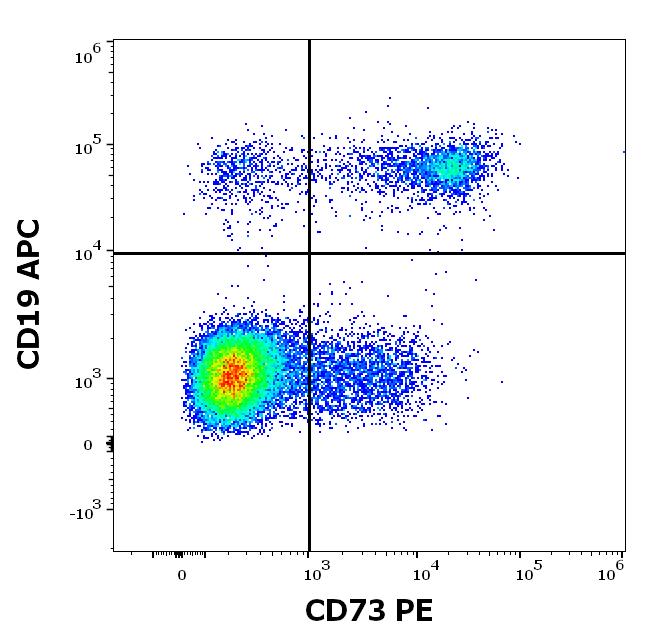 1P-675_FC_Dot-plot