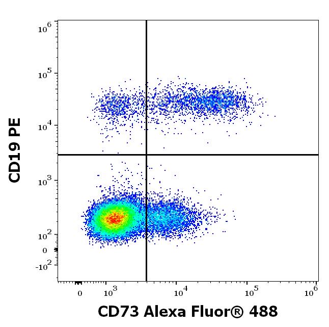 A6-675_FC_Dot-Plot