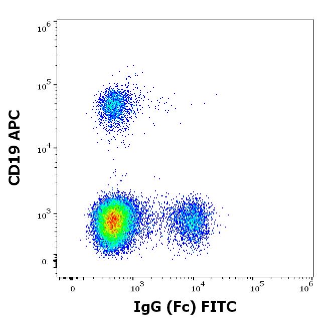 1F-536_FC_Dot-plot