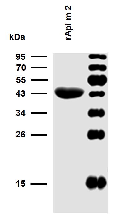 10-P196_WB