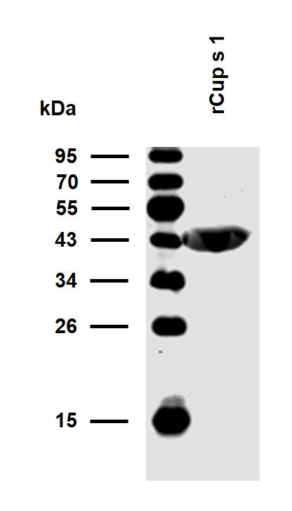 10-P214_WB