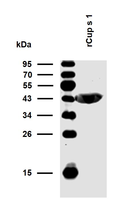 10-P214_WB