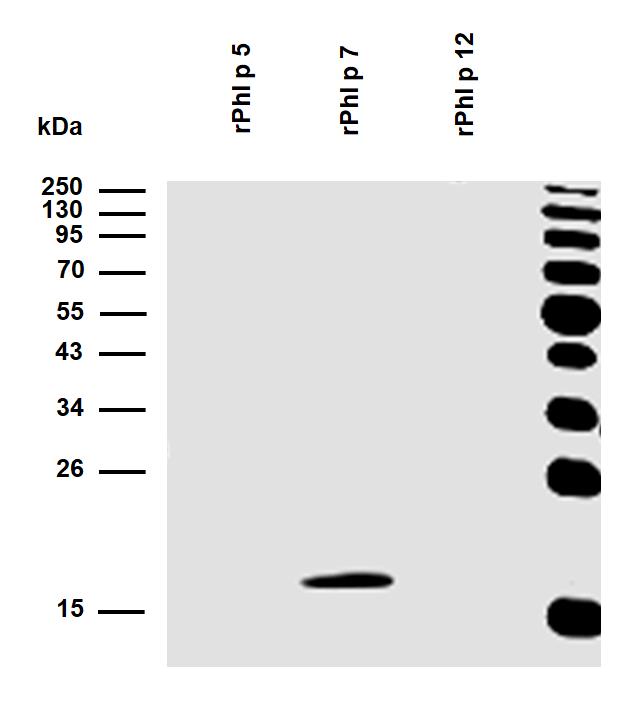 10-P176_WB