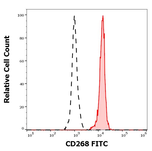 1F-163_FC_Histogram