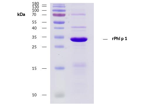 10-P178_čistota