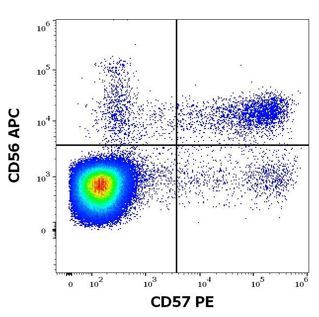 1P-158_FC_Dot-plot_2