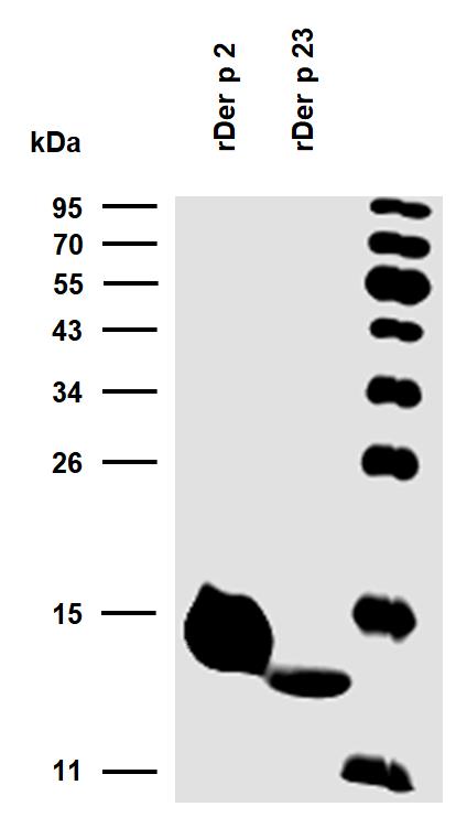 10-P198_WB