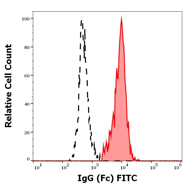 1F-536_FC_Histogram