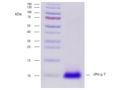 10-P176_čistota