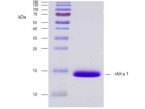 10-P186_čistota