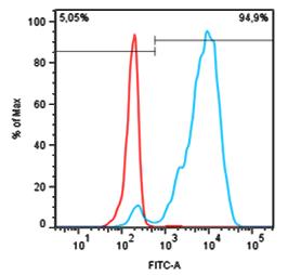ED7040_FC_Histogram_Granulocytes