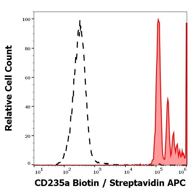 1B-784_FC_Histogram