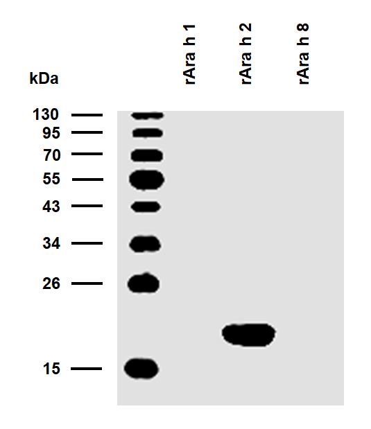 10-P208_WB