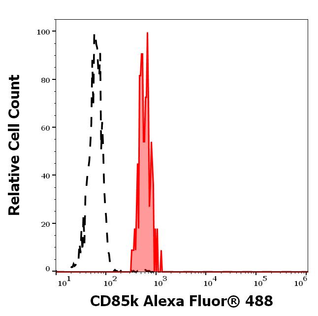 A4-906_FC_Histogram