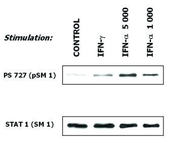 11-371_WB