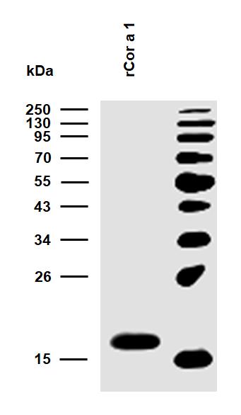 10-P192_WB