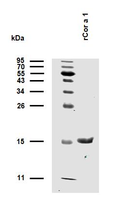 10-P192_WB2