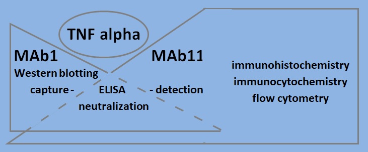 Fig-1.jpg