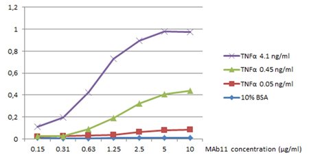 Fig-2.jpg