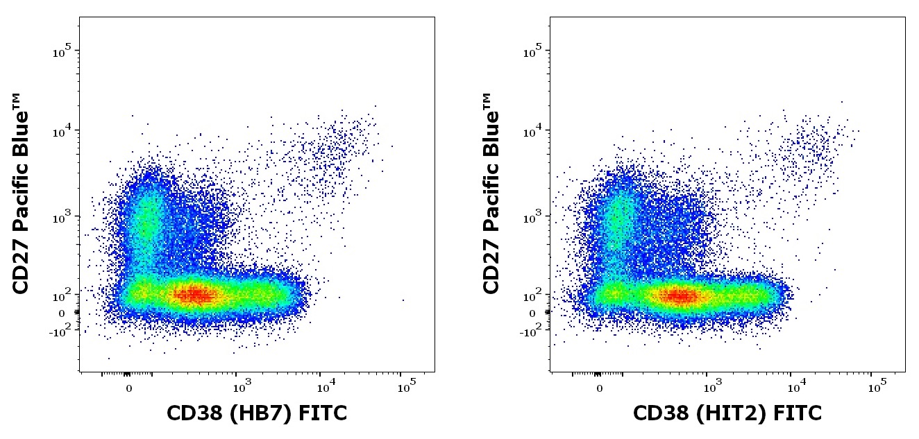 Fig-2.jpg