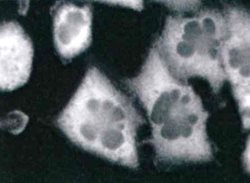 11-829_ICC-4.jpg