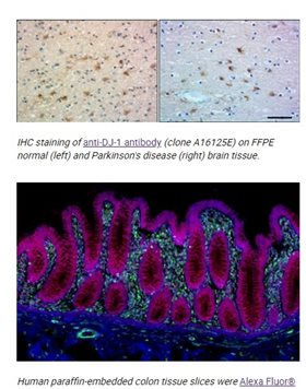 Microscopy.jpg