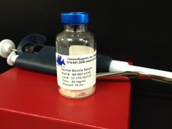1705746771_1913-NormalBovineSerum.jpg