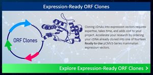orf-clones.jpg