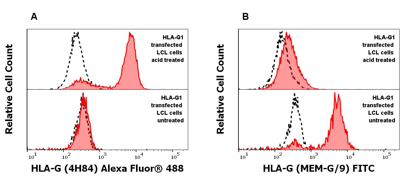 A4-499_FC_histogram_povrch