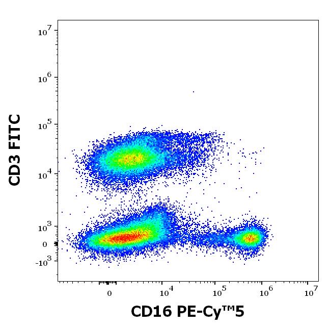 T8-646_FC_CDMaps_Fot-plot