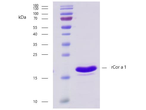 10-P192_čistota