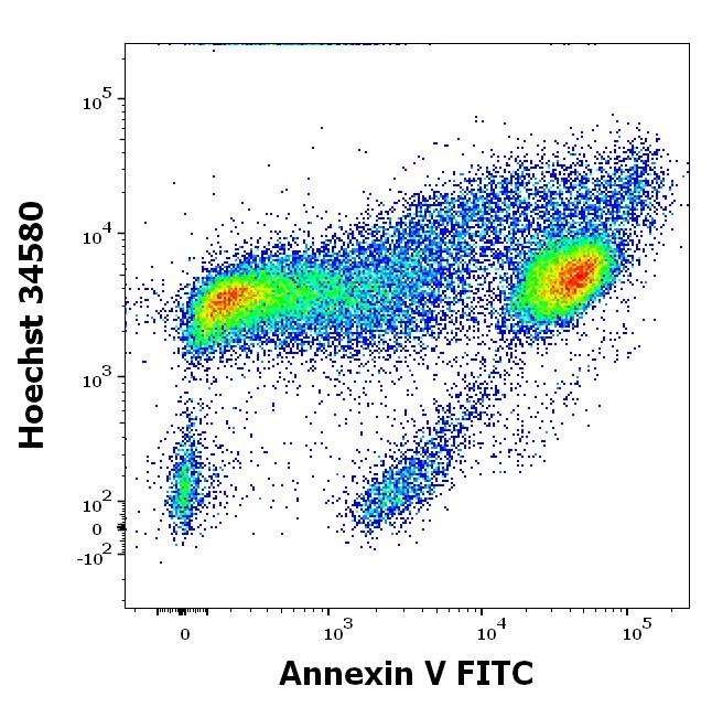 EXB0024_FC_Dot-plot