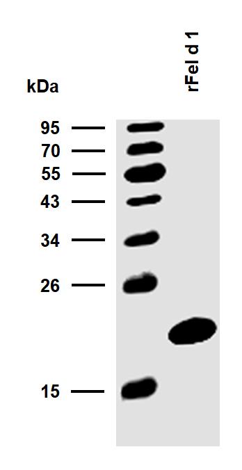 10-P189_WB