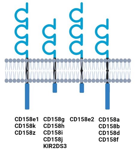 Fig-1.jpg