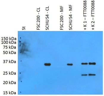 Fig-1.jpg
