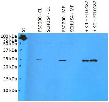 Fig-2.jpg