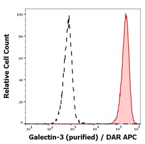 Gal-3.jpg