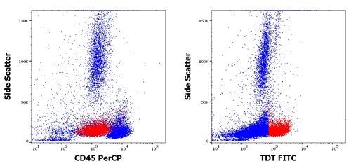 TDT-FITC_AML-patient_CD45-TDT.jpg
