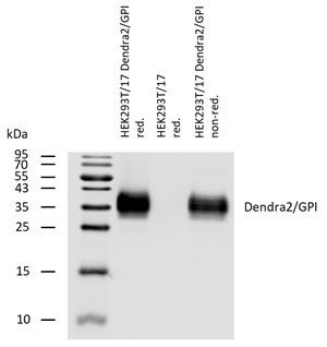 obr-4.jpg