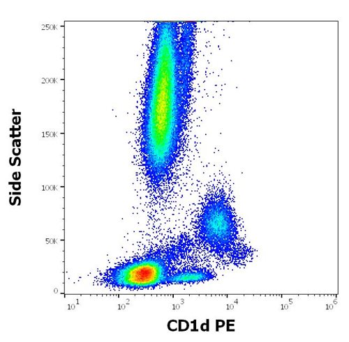 Anti-Hu CD1d PE