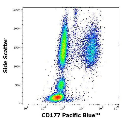 Anti-Hu CD177 Pacific Blue™
