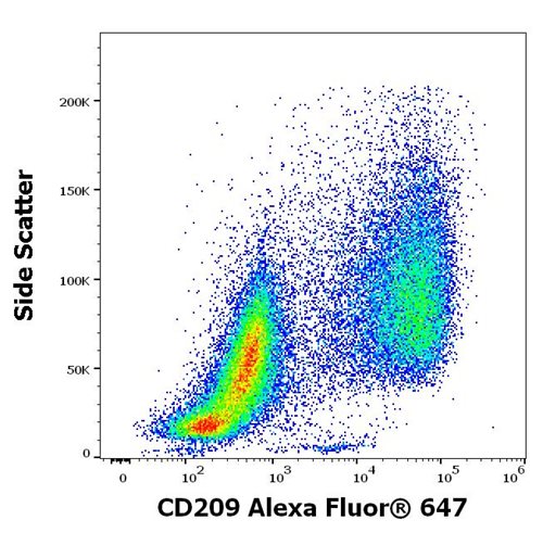 Anti-Hu CD209 Alexa Fluor<sup>®</sup> 647