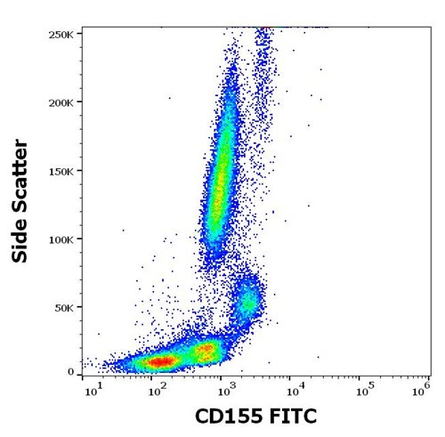 Anti-Hu CD155 FITC