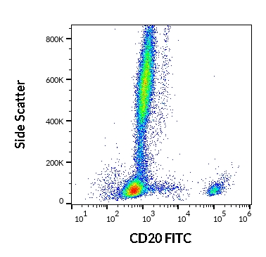 Anti-Hu CD20 FITC