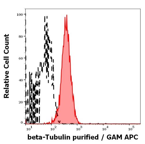Anti-beta-Tubulin Purified