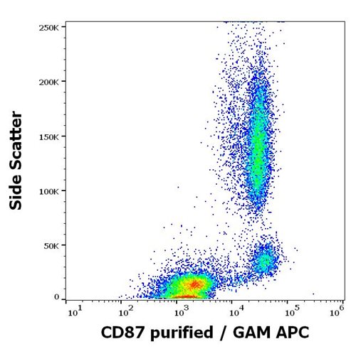 Anti-Hu CD87 Purified