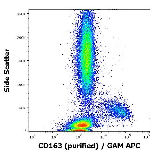 Anti-Hu CD163 Purified