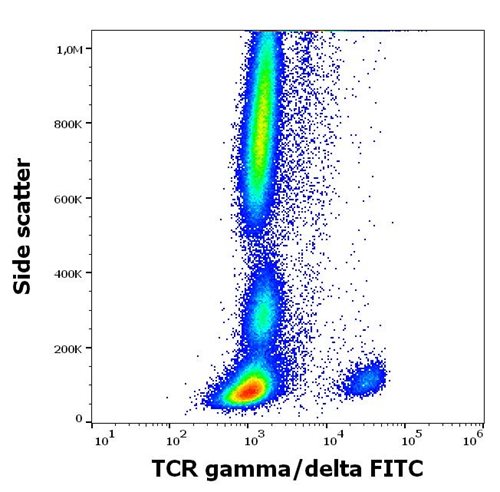 Anti-Hu TCR gamma/delta FITC