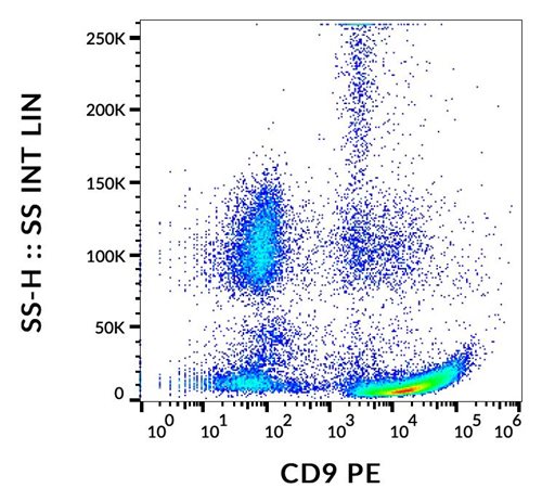 Anti-Hu CD9 PE