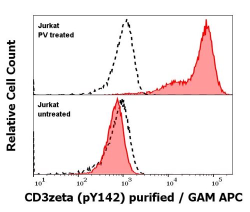 Anti-Hu CD3 zeta (pY142) Purified